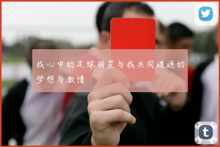 我心中的足球明星与我共同追逐的梦想与激情