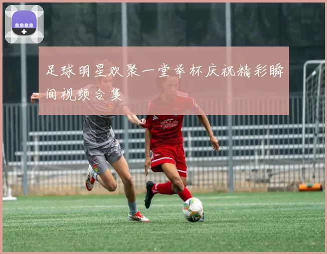 足球明星欢聚一堂举杯庆祝精彩瞬间视频合集