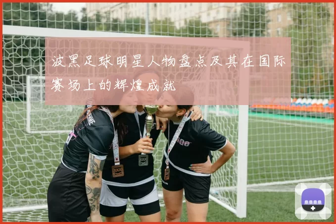 波黑足球明星人物盘点及其在国际赛场上的辉煌成就