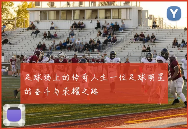 足球场上的传奇人生一位足球明星的奋斗与荣耀之路