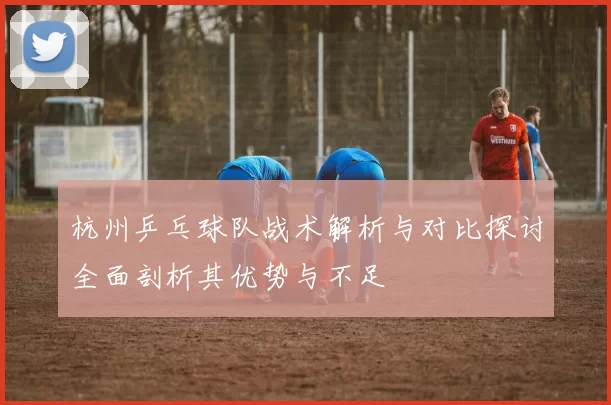 杭州乒乓球队战术解析与对比探讨全面剖析其优势与不足