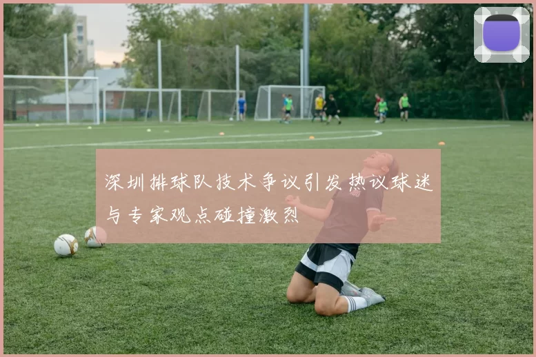 深圳排球队技术争议引发热议球迷与专家观点碰撞激烈