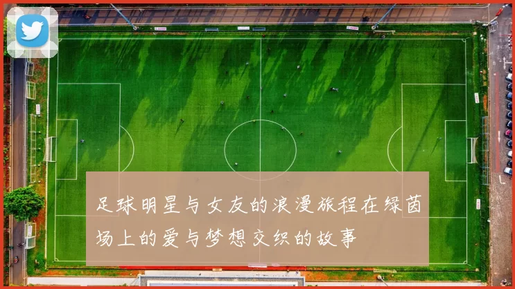 足球明星与女友的浪漫旅程在绿茵场上的爱与梦想交织的故事