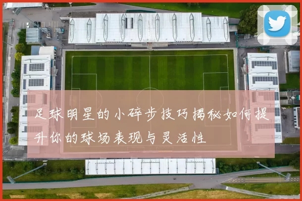 足球明星的小碎步技巧揭秘如何提升你的球场表现与灵活性