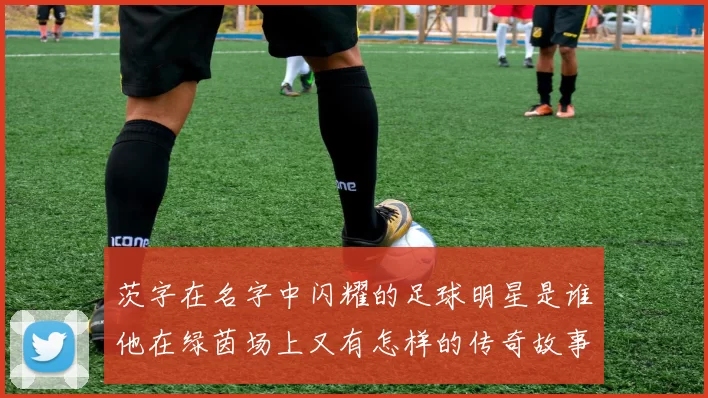 茨字在名字中闪耀的足球明星是谁他在绿茵场上又有怎样的传奇故事