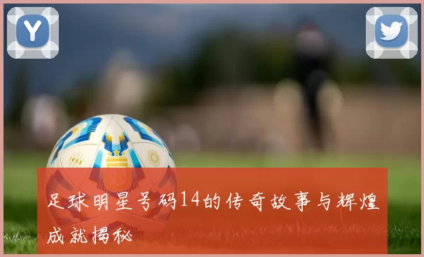 足球明星号码14的传奇故事与辉煌成就揭秘