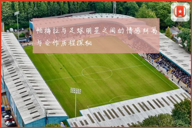 帕梅拉与足球明星之间的情感纠葛与合作历程探秘