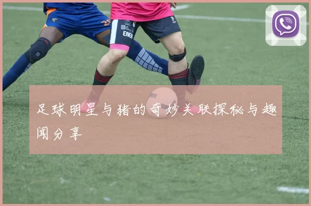 足球明星与猪的奇妙关联探秘与趣闻分享