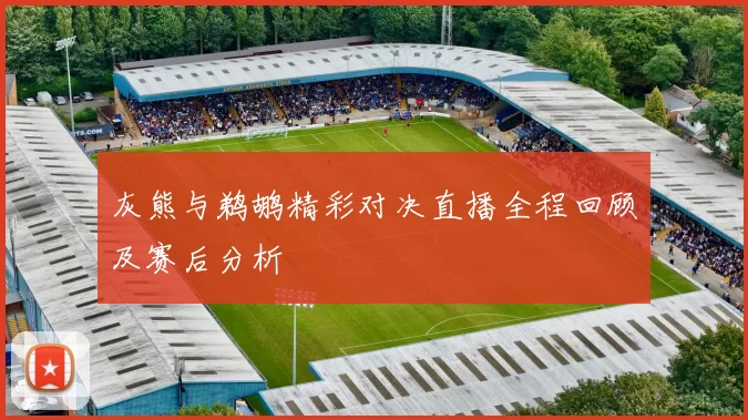 灰熊与鹈鹕精彩对决直播全程回顾及赛后分析