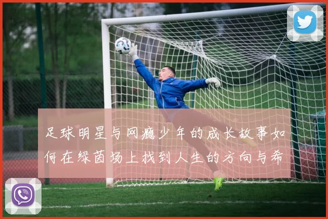 足球明星与网瘾少年的成长故事如何在绿茵场上找到人生的方向与希望
