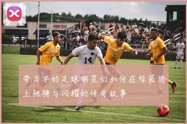 带马字的足球明星们如何在绿茵场上驰骋与闪耀的传奇故事