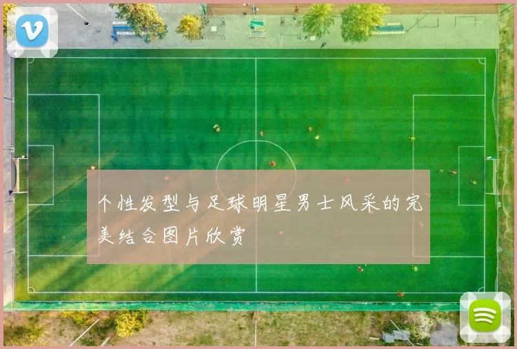 个性发型与足球明星男士风采的完美结合图片欣赏