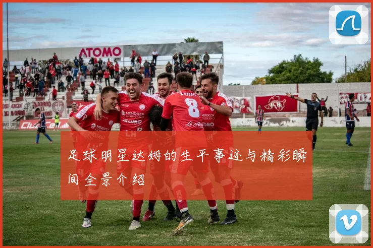 足球明星达姆的生平事迹与精彩瞬间全景介绍