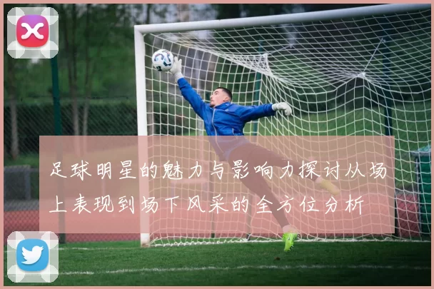 足球明星的魅力与影响力探讨从场上表现到场下风采的全方位分析