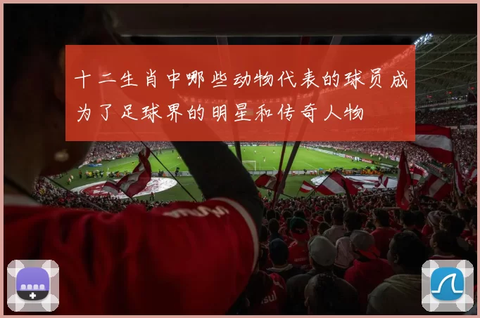 十二生肖中哪些动物代表的球员成为了足球界的明星和传奇人物