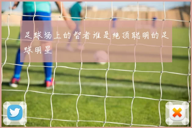 足球场上的智者谁是绝顶聪明的足球明星