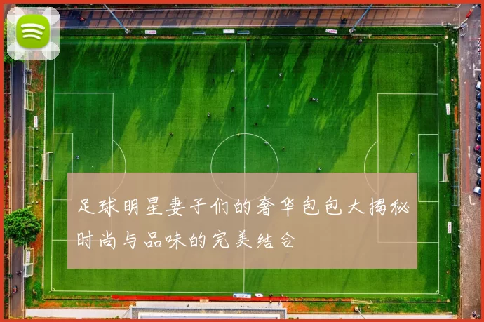 足球明星妻子们的奢华包包大揭秘时尚与品味的完美结合