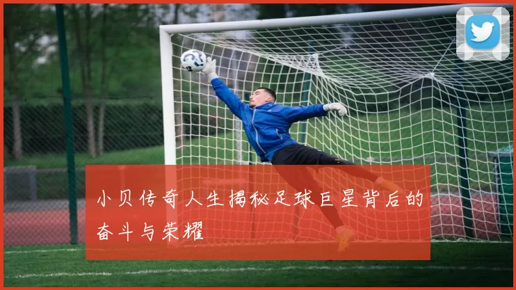 小贝传奇人生揭秘足球巨星背后的奋斗与荣耀