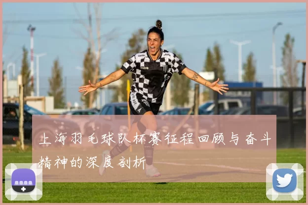 上海羽毛球队杯赛征程回顾与奋斗精神的深度剖析