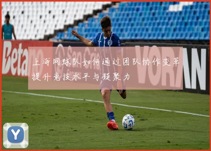 上海网球队如何通过团队协作变革提升竞技水平与凝聚力